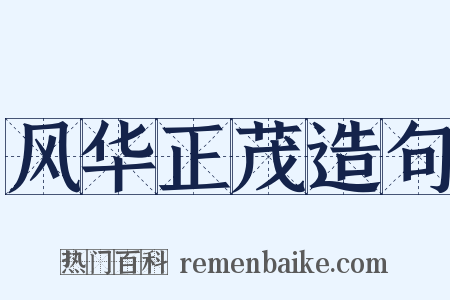 风华正茂造句是什么意思的图片